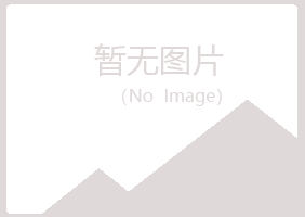 日照岚山夜山出版有限公司